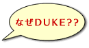 �Ȃ�DUKE